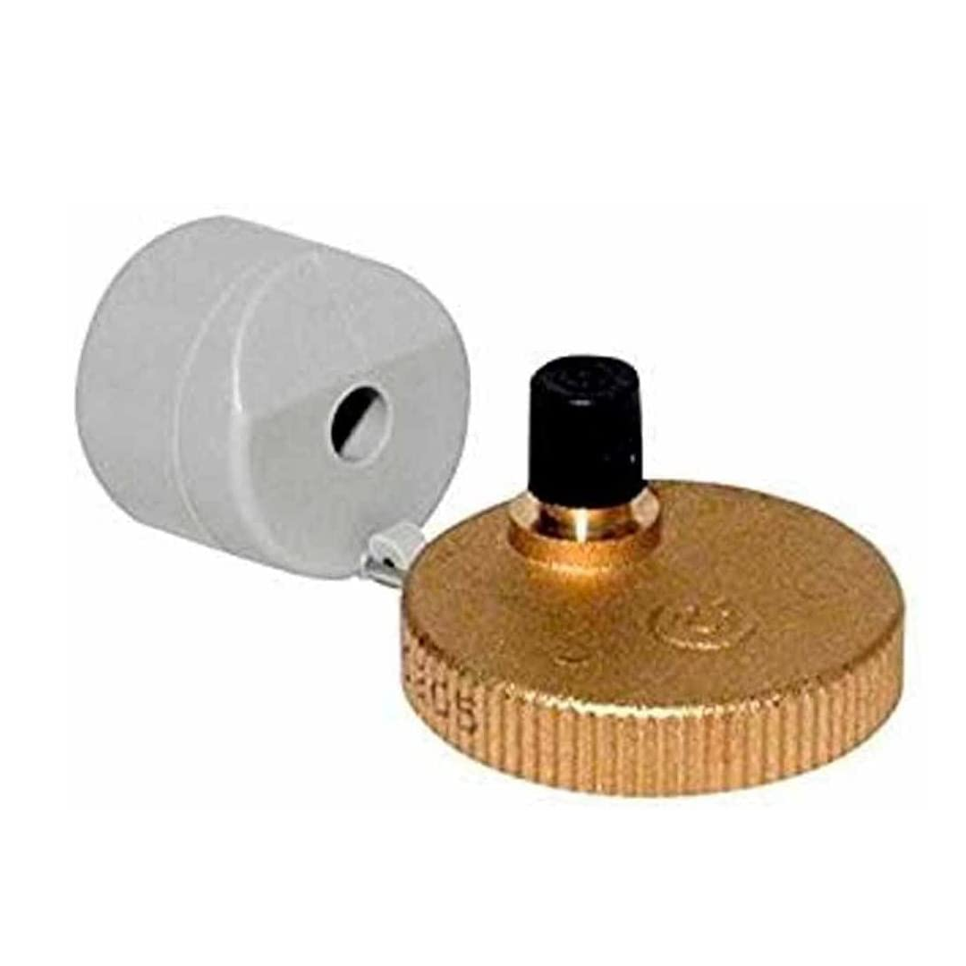 Vaillant Bottle Air Vent 061707