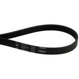 NEFF Tumble Dryer Belt 481935828002 / C00375170