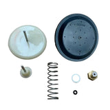 Main Boiler Diaphragm Repair Kit With Plate 248063