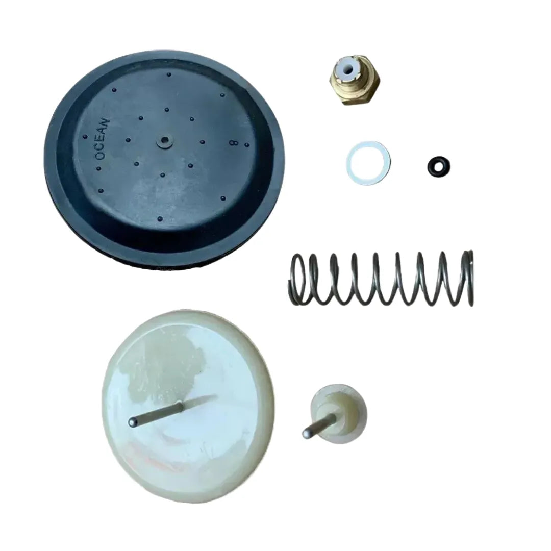 Main Boiler Diaphragm Repair Kit With Plate 248063
