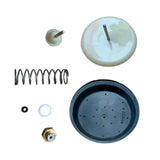 Main Boiler Diaphragm Repair Kit With Plate 248063