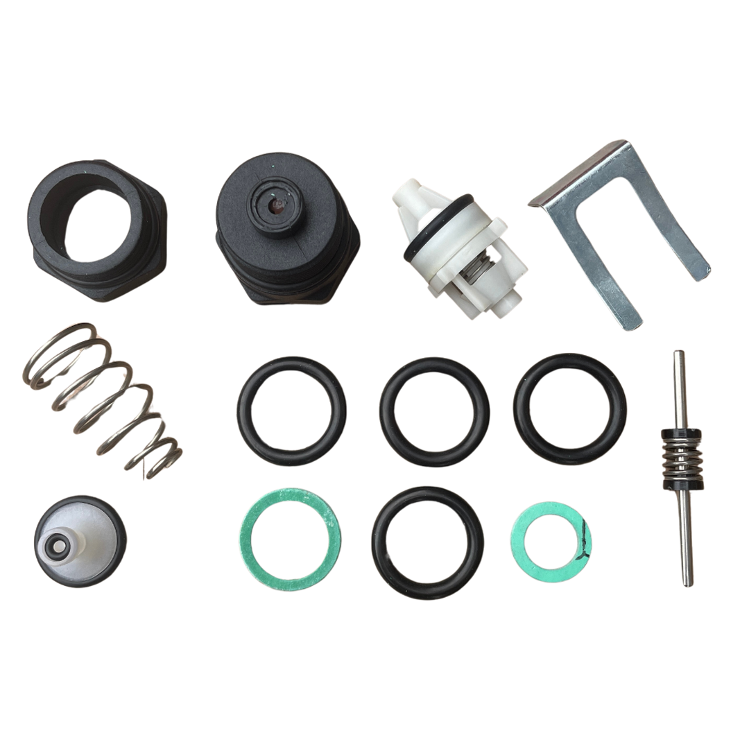 Heatline Boiler Diverter Valve Repair Kit D020103888 & D003202401
