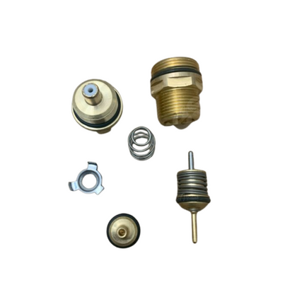 Biasi Diverter Valve Repair Kit BI1141501