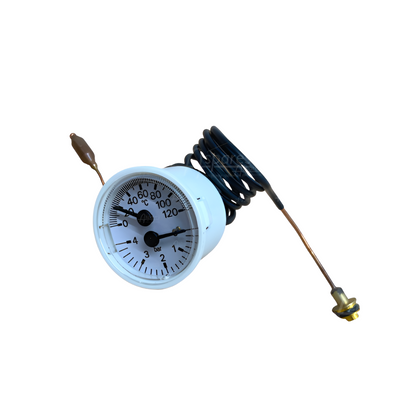 Biasi ERP Temperature Pressure Gauge BI1475108